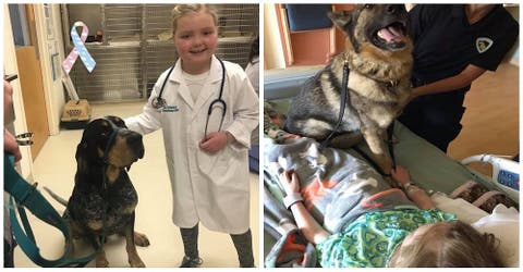 Muere la niña de 8 años que emocionó al mundo por su gran amor hacia los perros