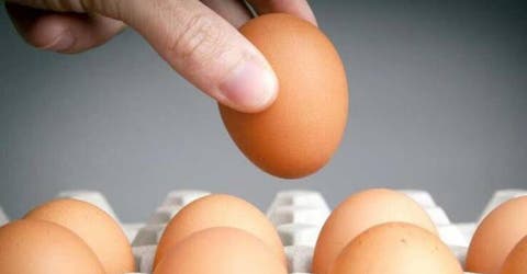 Pierde la vida mientras intentaba comerse 50 huevos para ganarse 28 dólares en un desafío