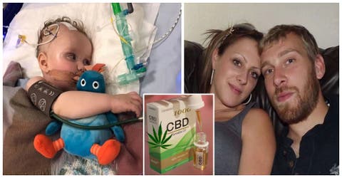 Padres rechazan la quimioterapia para su bebé porque juran que el aceite de cannabis lo salvará