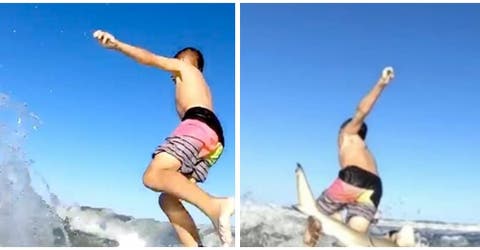 El vídeo en el que un niño de 7 años choca con un tiburón mientras intentaba surfear