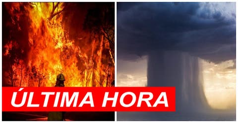 Finalmente cae la bomba de lluvia más esperada en Australia sofocando los incendios mortales