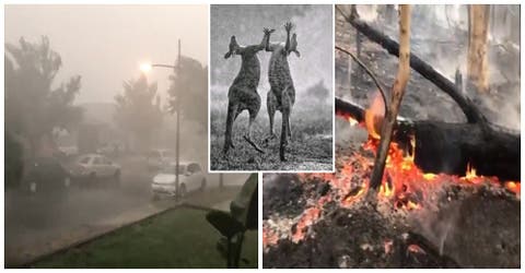 La milagrosa lluvia logra apagar 32 incendios forestales y las imágenes se difunden por el mundo