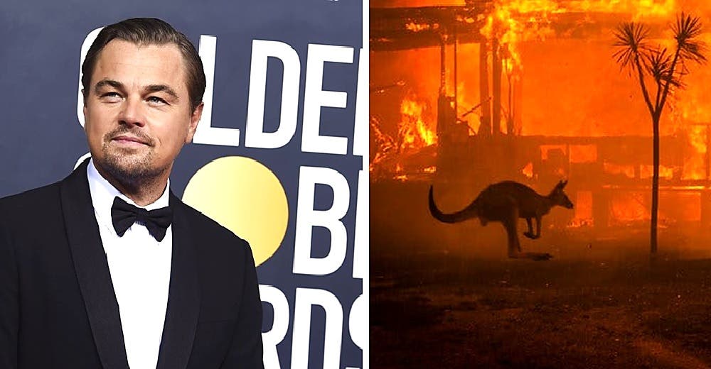 Leonardo DiCaprio hace la donación más importante para luchar contra los incendios en Australia