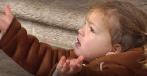 15 días en absoluto silencio–La pequeña que suplica ayuda para recuperar sus implantes auditivos