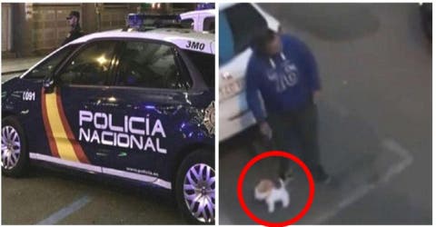 Intentó engañar a la policía paseando a su perro de peluche para romper el confinamiento