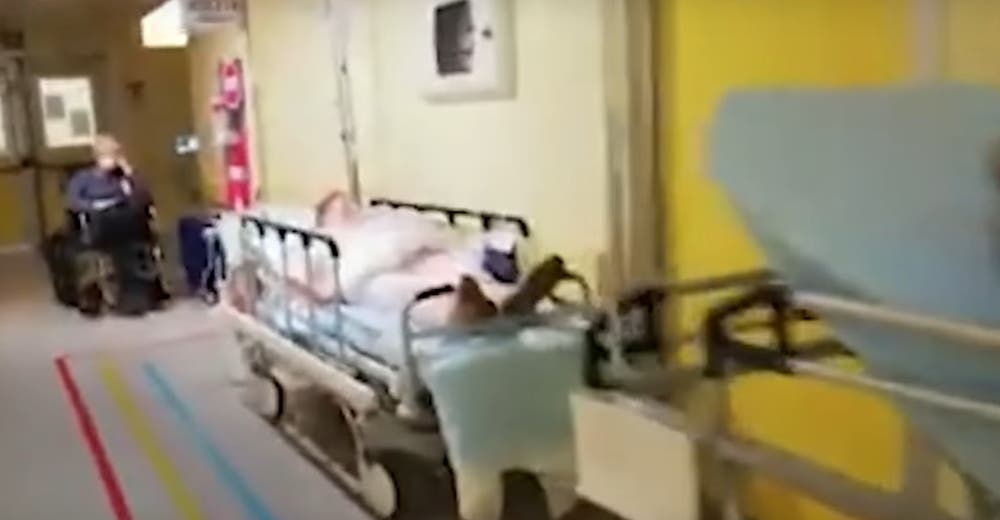 Difunden un vídeo del interior de un hospital de Italia desbordado de pacientes con coronavirus Difunden un vídeo del interior de un hospital de Italia desbordado de pacientes con coronavirus