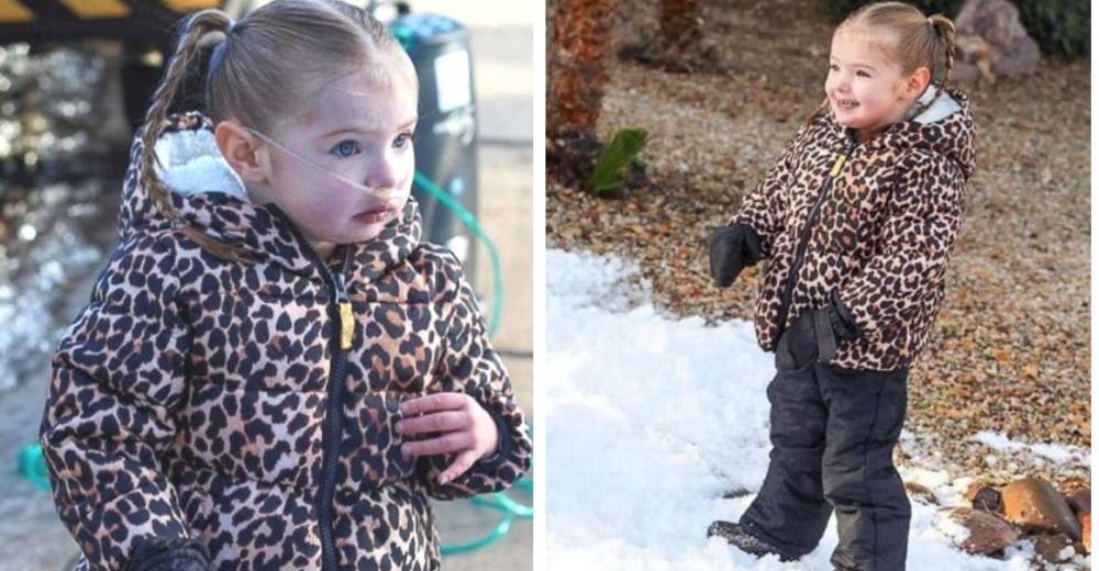 Aparecen 5 toneladas de nieve frente a la casa de una niña que nació sin la mitad de su corazón Aparecen 5 toneladas de nieve frente a la casa de una niña que nació sin la mitad de su corazón