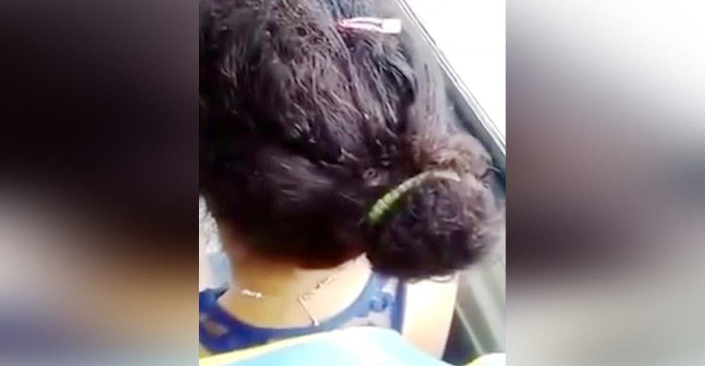Un pasajero del autobús ve con horror el cabello de una mujer y lo graba con su teléfono móvil