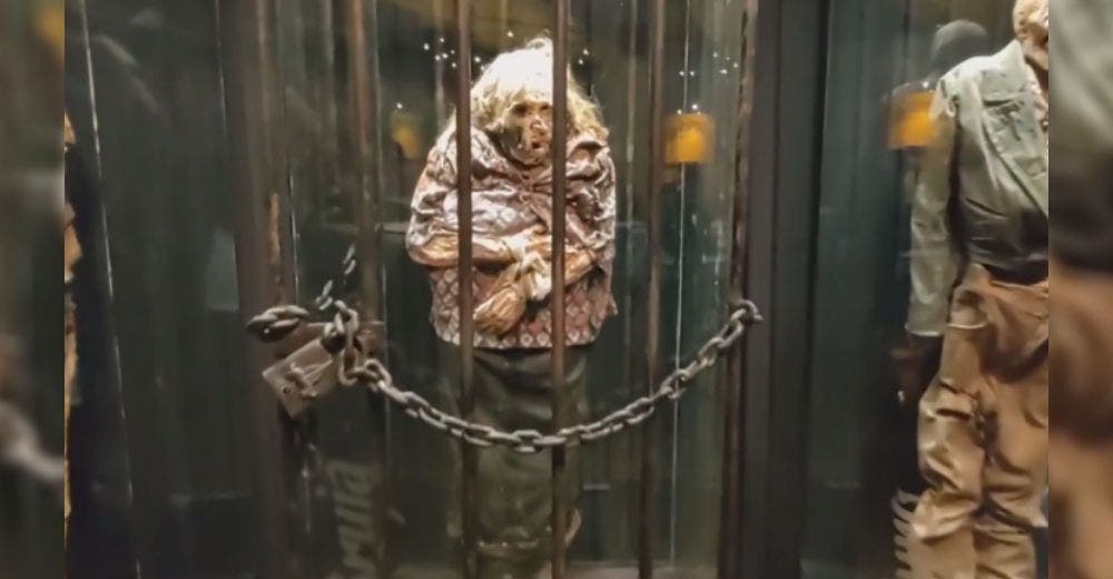 Liberan a una momia que se exhibía encadenada como castigo por el oficio que tuvo en vida