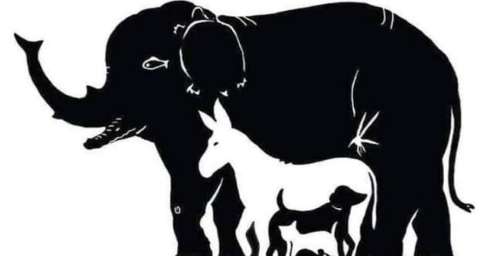 El reto visual de la cuarentena se hace viral: ¿Logras identificar los 13 animales de la imagen? El reto visual de la cuarentena se hace viral: ¿Logras identificar los 13 animales de la imagen?
