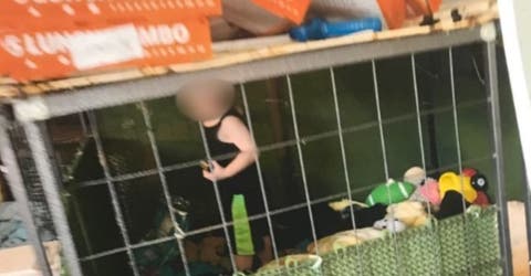Rescatan a un niño de 18 meses que sobrevivía dentro de una jaula rodeado de más de 600 animales