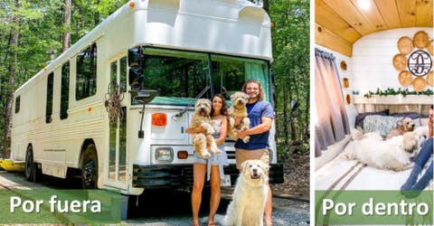 Convierten un autobús escolar en la casa de sus sueños para disfrutar la vida con sus 3 perros