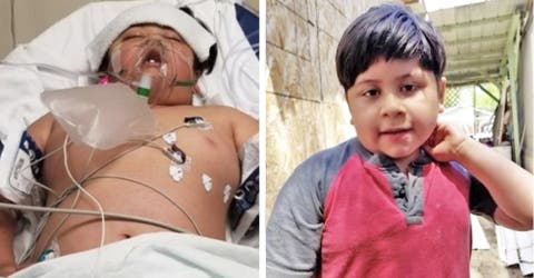 Su hijo de 7 años solo tenía fiebre, dolor de cabeza y ahora lucha por sobrevivir en la UCI