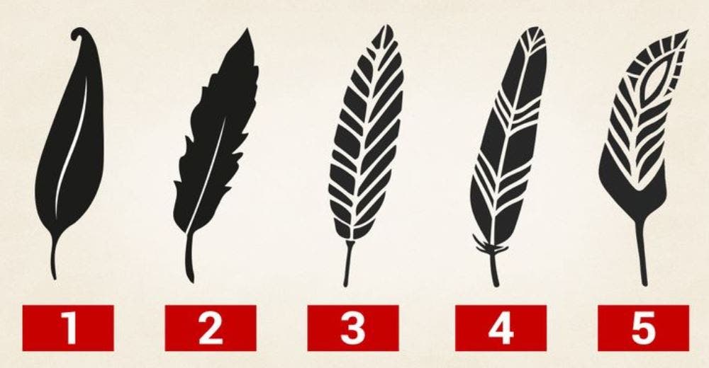 La pluma que elijas entre las 5 opciones muestra los aspectos más ocultos de tu personalidad La pluma que elijas entre las 5 opciones muestra los aspectos más ocultos de tu personalidad