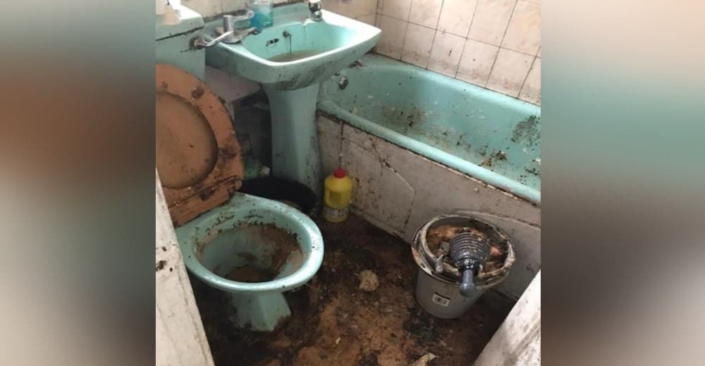 Después de 12 años sin que nadie limpiara esta casa todos quedan perplejos con el resultado Después de 12 años sin que nadie limpiara esta casa todos quedan perplejos con el resultado