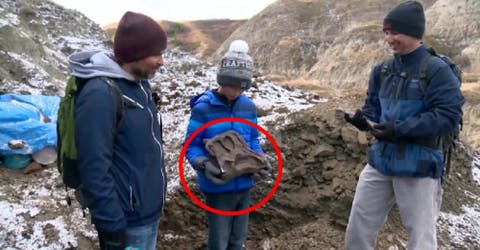 Un niño de 12 años queda atónito tras hallar un fósil de 69 millones de años de antigüedad