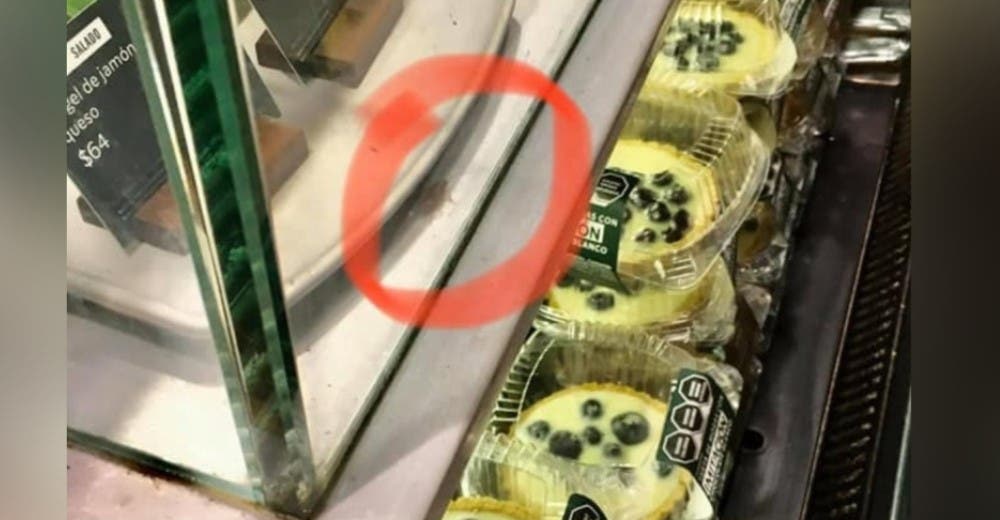 Difunde la foto de una cucaracha caminando entre los dulces de la vitrina de Starbucks Difunde la foto de una cucaracha caminando entre los dulces de la vitrina de Starbucks