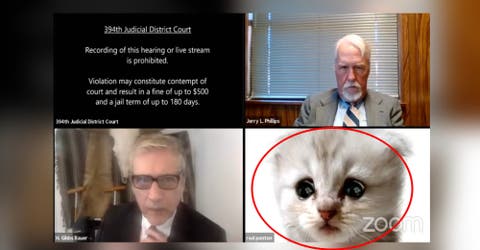 «No soy un gato» – Un abogado activa un filtro mientras hacían un juicio online