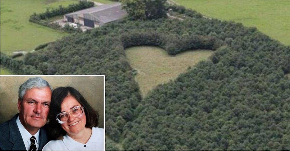 Planta 6 mil árboles en forma de corazón en honor a su amada esposa