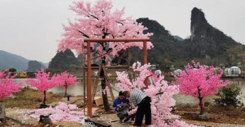 Construye un espectacular paraíso para la mujer que ama y ella lo rechaza sin piedad