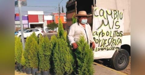 Desesperado ofrece en las calles árboles frutales a cambio de alimentos o ropa para su familia