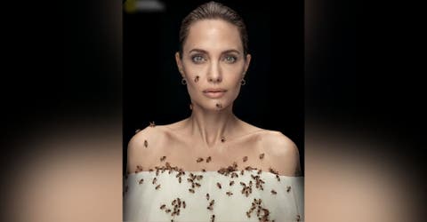 Angelina Jolie aparece en una sesión de fotos tras no haberse bañado durante 3 días