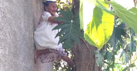 A sus 88 años esta abuelita se trepa en los árboles para vender frutas y sobrevivir