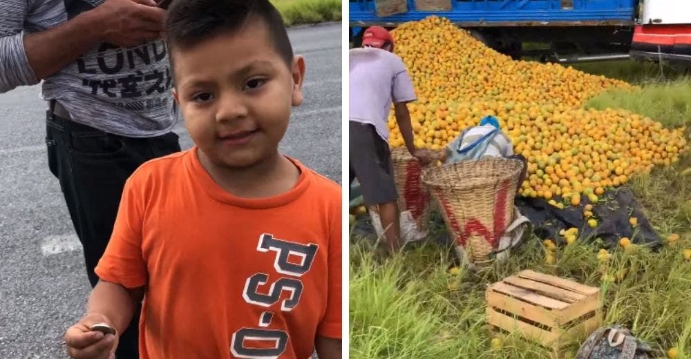 Graban al humilde niño que se acercó a pedir naranjas al lugar donde se volcó un camión Graban al humilde niño que se acercó a pedir naranjas al lugar donde se volcó un camión