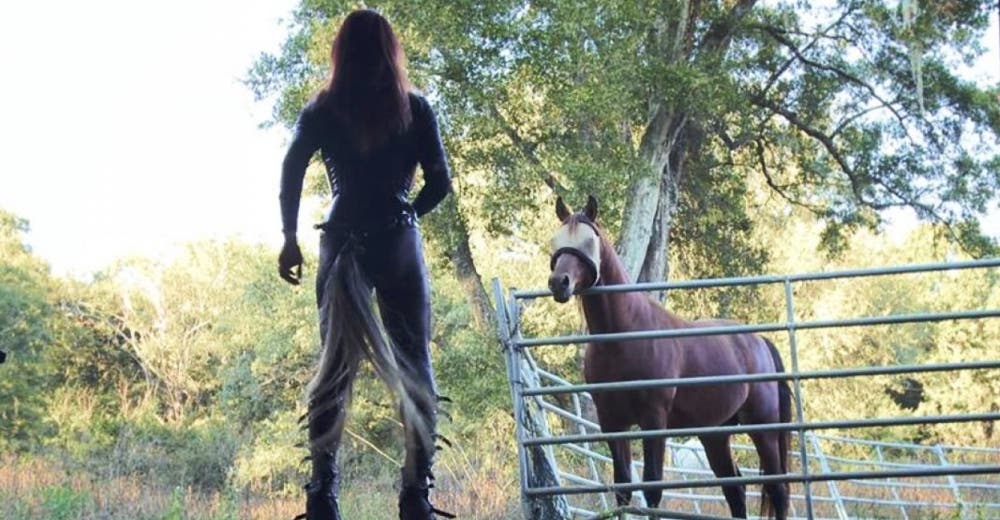 Decide transformarse en un caballo y le exige al gobierno que le pague los gastos Decide transformarse en un caballo y le exige al gobierno que le pague los gastos