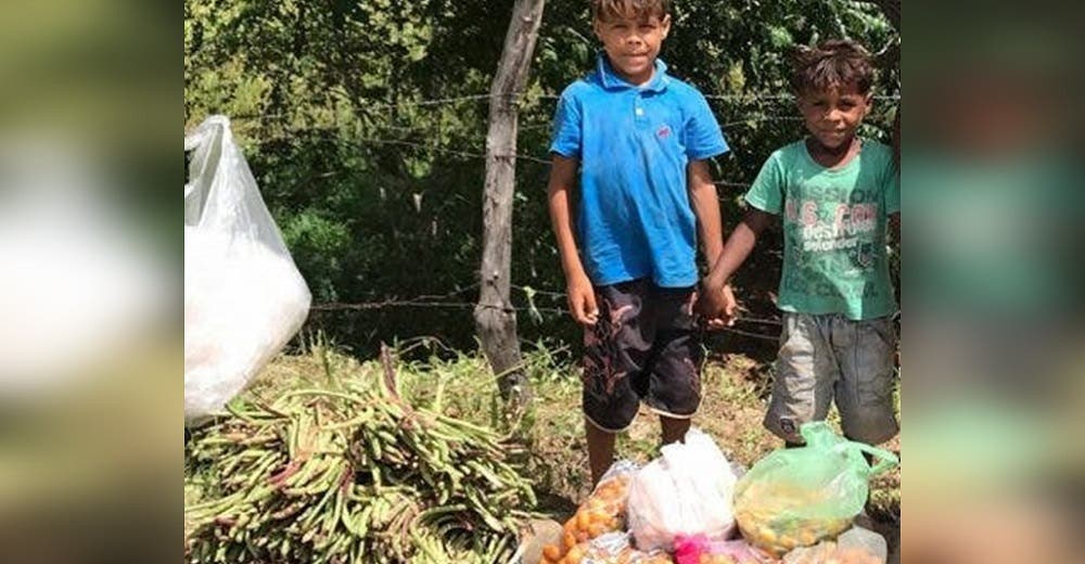 Los hermanos de 7 y 9 años que venden verduras en la calle asisten a la escuela por primera vez