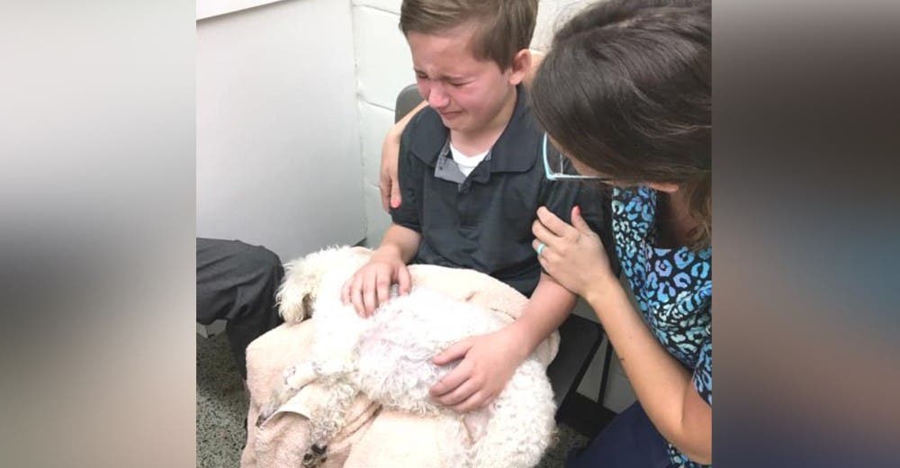 Un niño adoptado abraza a su perrita enferma para que jamás se sienta sola