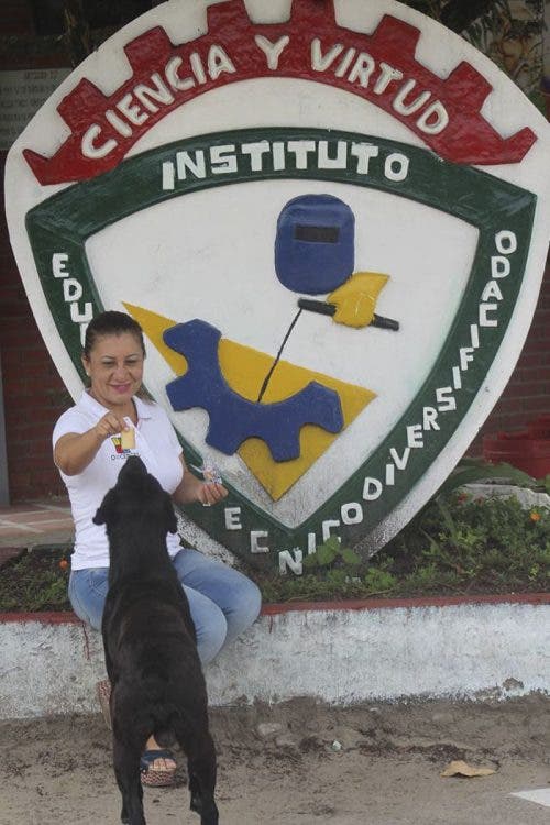 Perro compra bizcochos y paga con hojas de un árbol