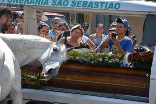 Caballo llega al funeral de su mejor amigo humano