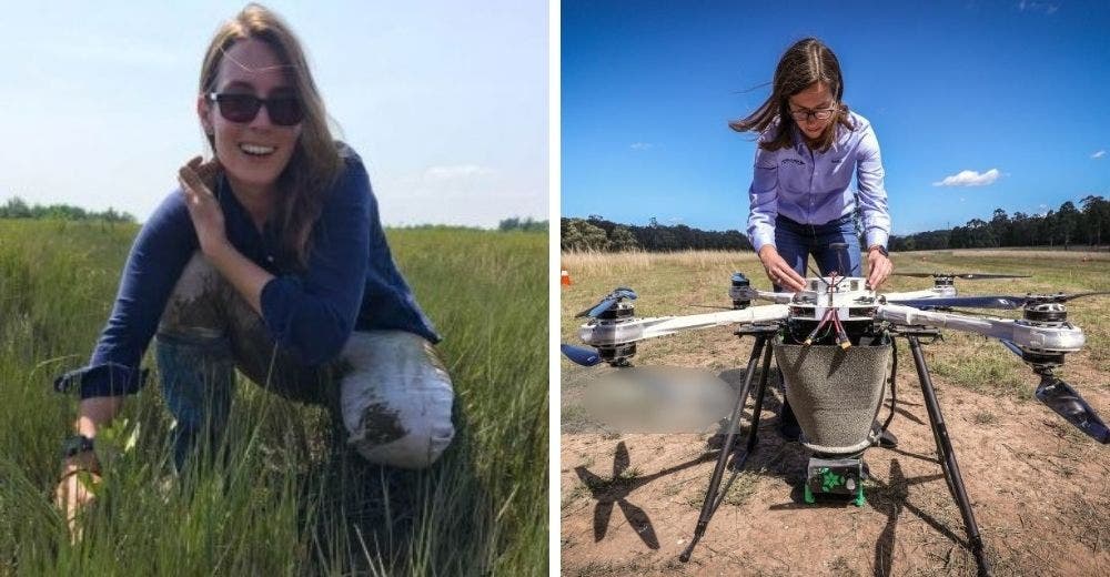 Una joven desarrolla una serie de drones capaces de reforestar y sembrar 100 mil árboles por día