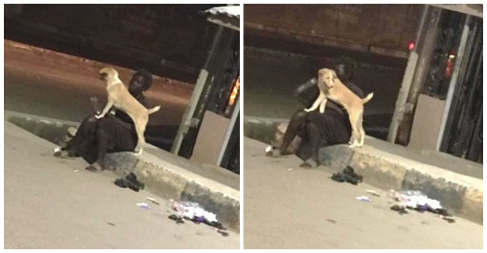 Captan a perrito fiel acompañando siempre a su dueña abandonada en la calle por su familia