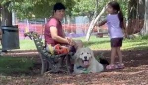 Perro finge ser la mascota de otra familia cada vez que su dueña trata de irse del parque
