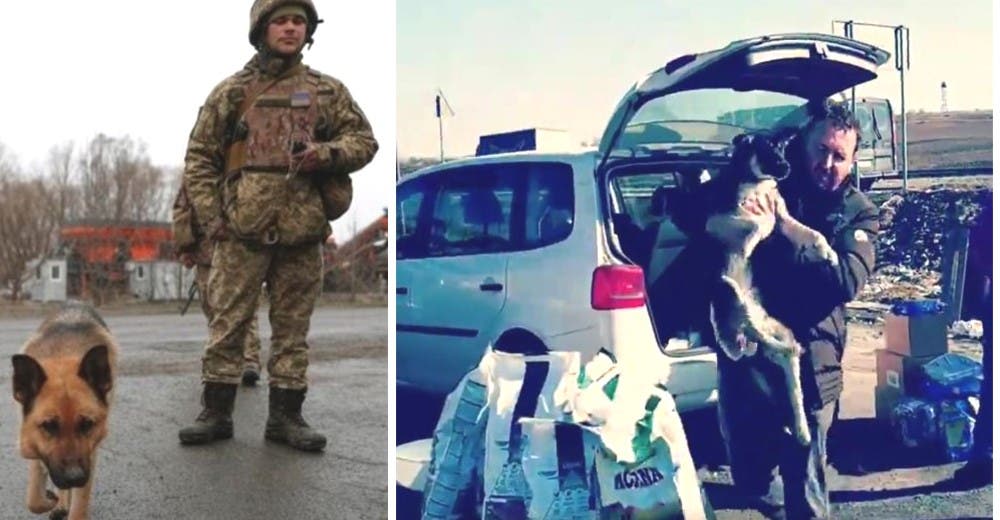 Viaja más 5 mil kilómetros para salvar a 30 perros y 2 familias en Ucrania