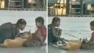2 nobles niñas son grabadas consolando a un perro callejero