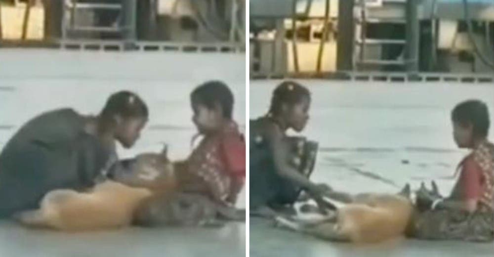 2 nobles niñas son grabadas consolando a un perro callejero