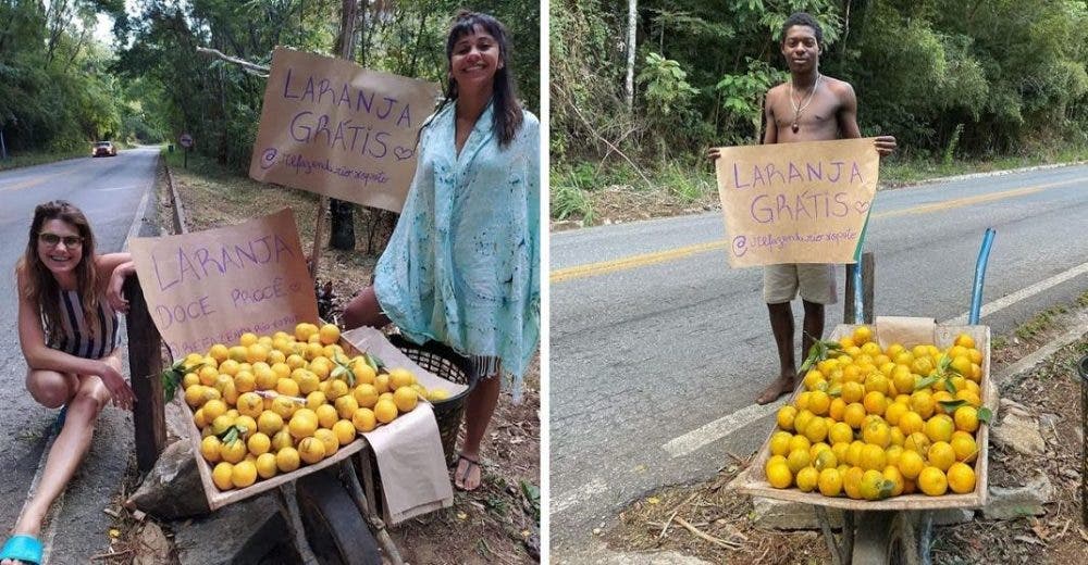 «Naranjas gratis» – Ve a un humilde hombre con un letrero en la carretera y decide interrogarlo